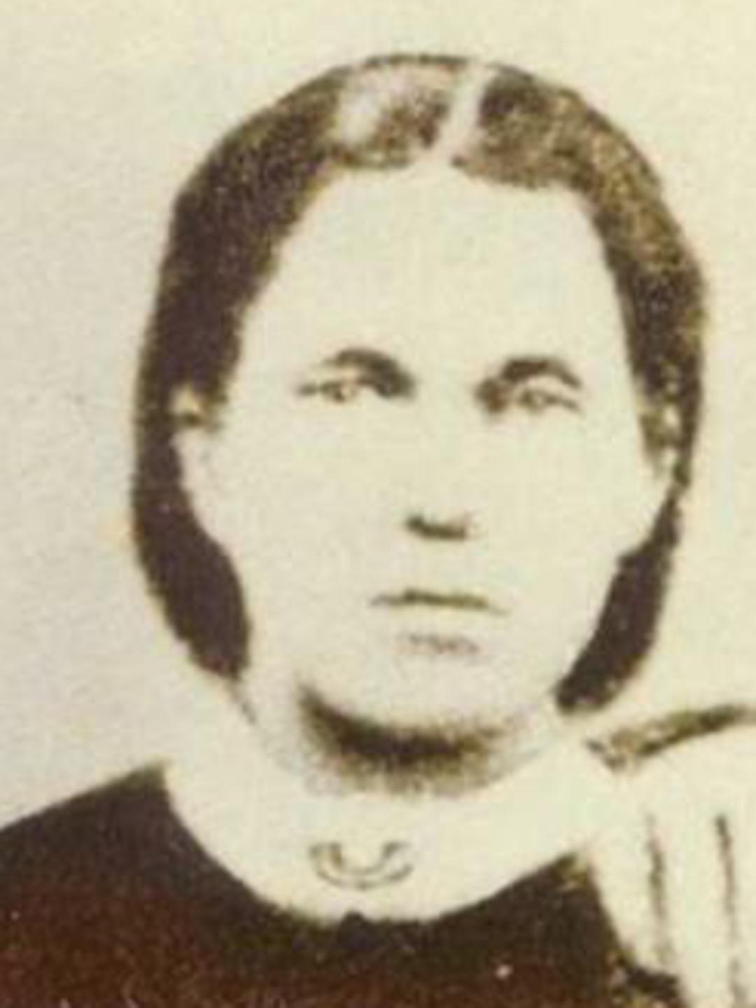 Hannah Jenkins (1846 - 1888) Profile